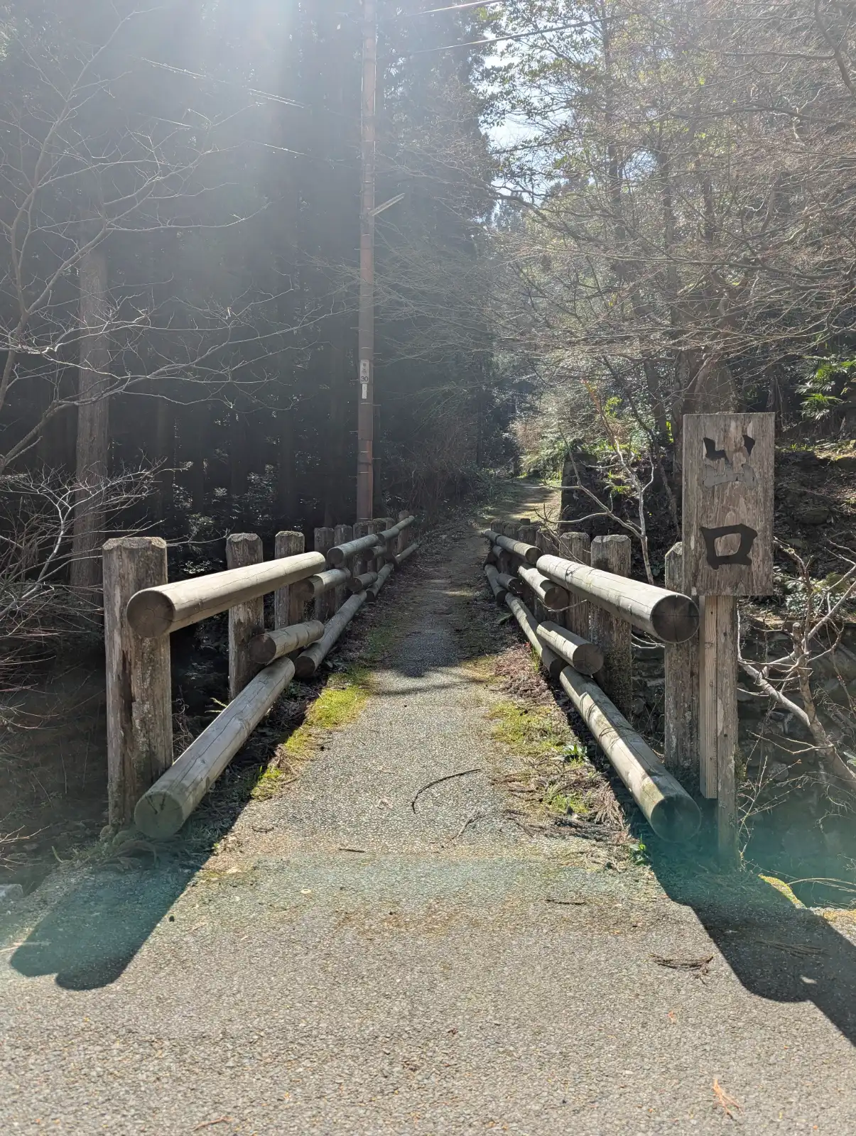 A serene, sun-dappled wooden bridge leads into a dark Japanese forest path, with tall trees and lush undergrowth.