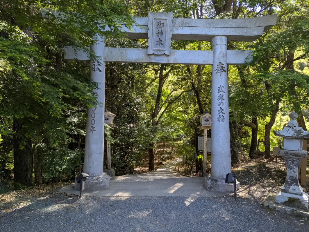 Stone torii gate leading into the forest at Takeo Shrine in Saga, marking the entrance to sacred stillness.