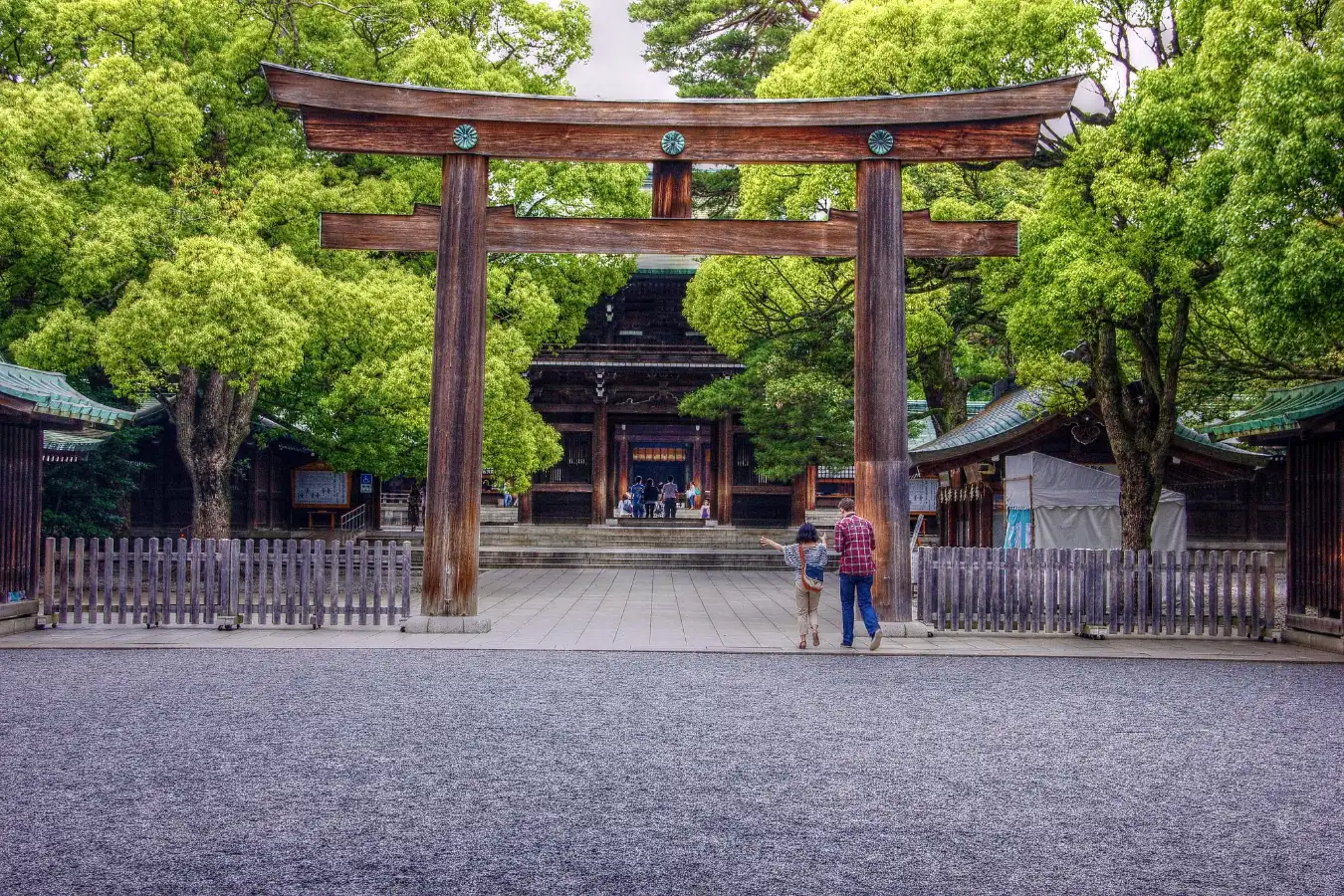 A tranquil morning at Meiji Shrine in Tokyo, where visitors pass beneath a grand wooden torii gate, framed by vibrant spring foliage. This serene scene captures the quiet spirituality and timeless beauty of one of Tokyo’s most revered Shinto sites.